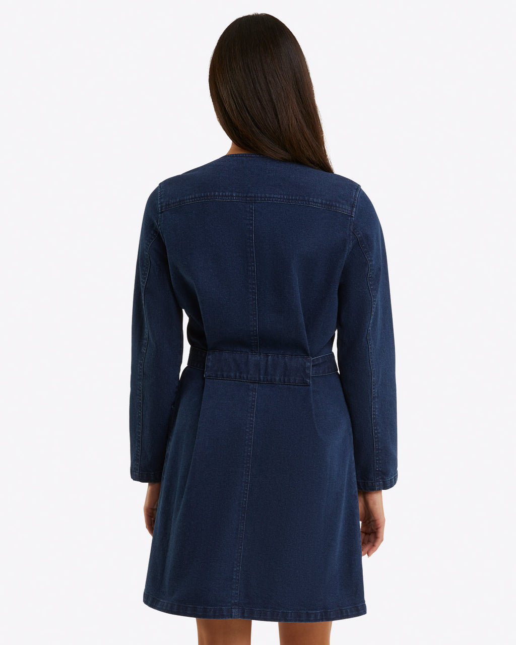 Colbie Snap Front Dress in Denim