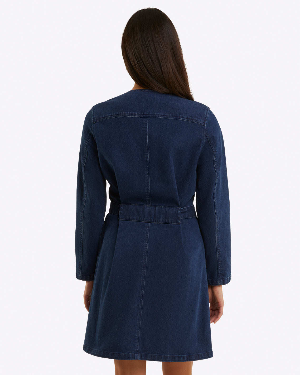 Colbie Snap Front Dress in Denim