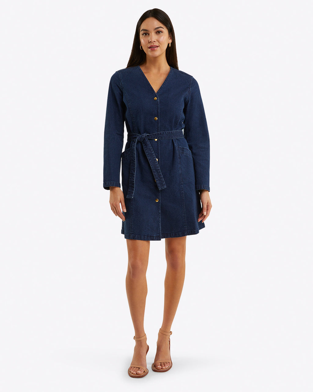 Colbie Snap Front Dress in Denim