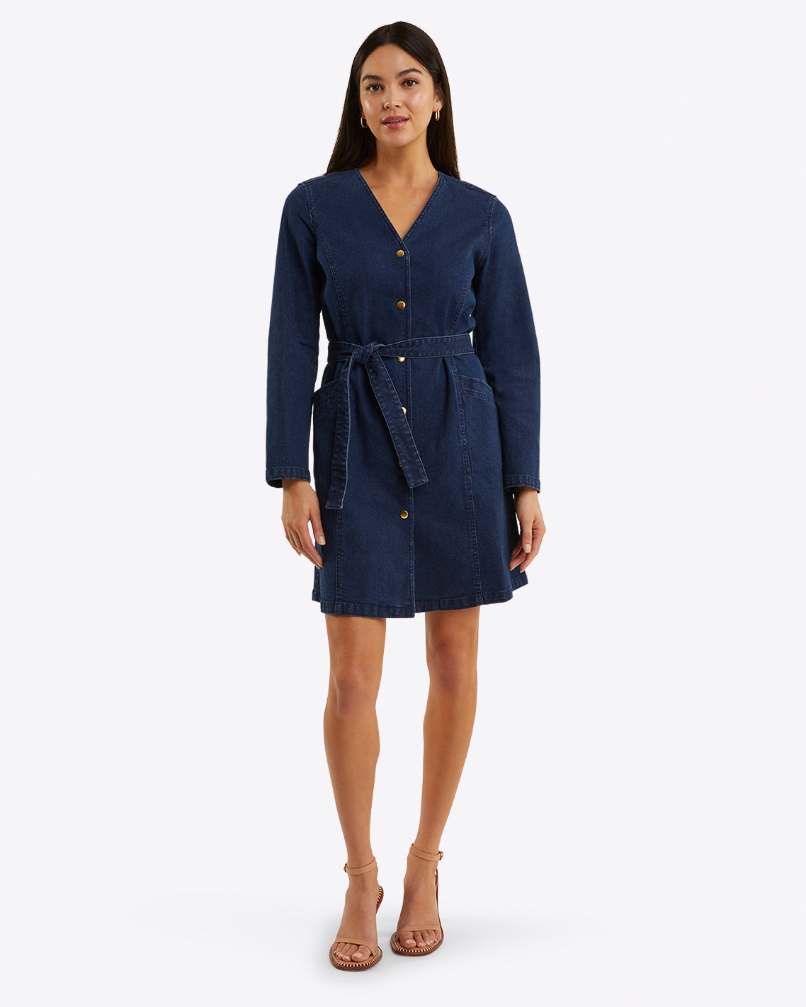 Colbie Snap Front Dress in Denim