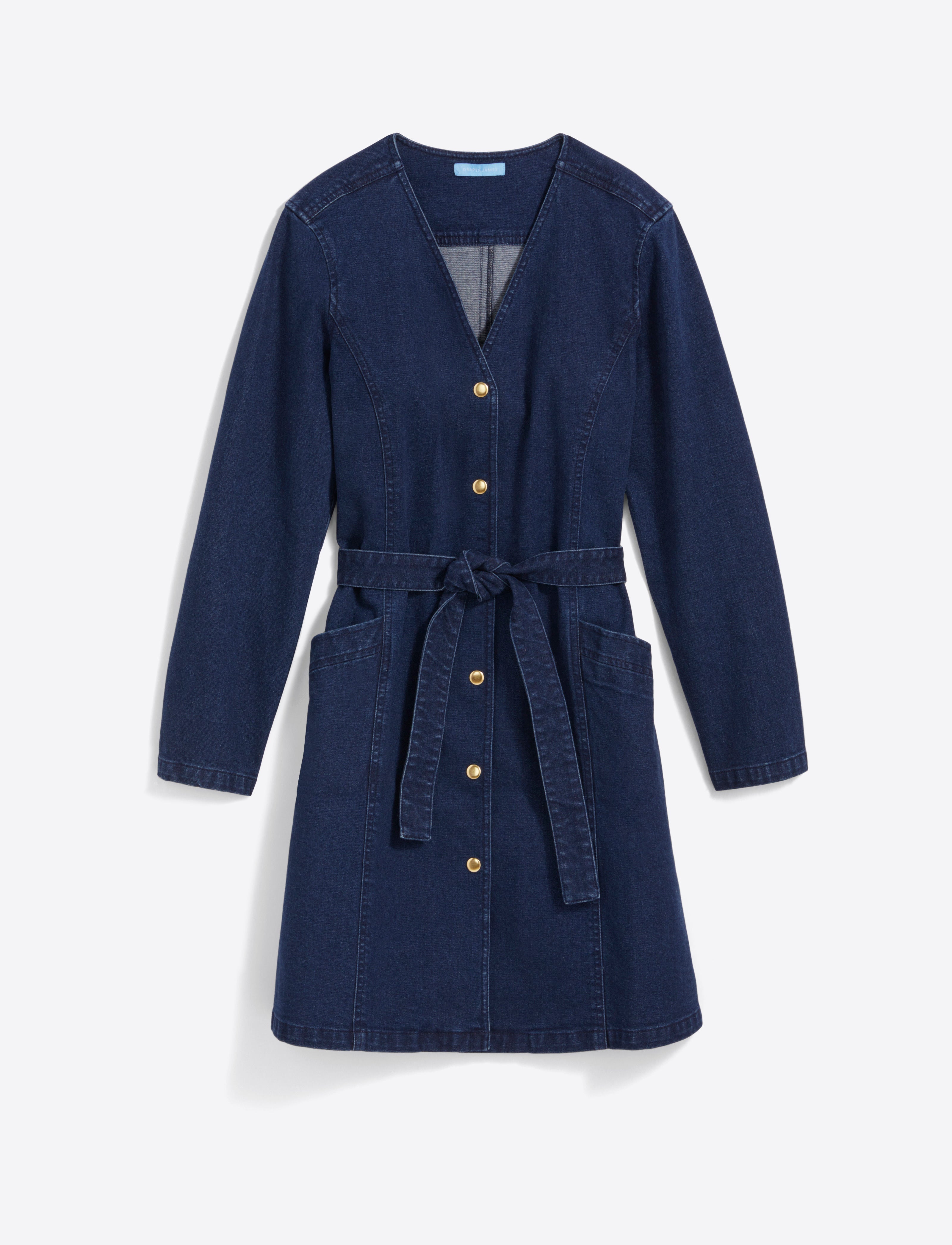 Colbie Snap Front Dress in Denim